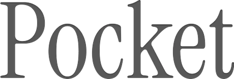 Pocket AI